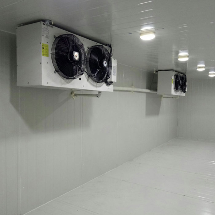 Hướng dẫn bảo trì kho lạnh đúng cách giúp tiết kiệm điện và kéo dài tuổi thọ